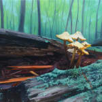 Oil painting of mushrooms in forest on panel