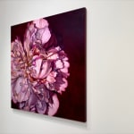 Painting of a peony
