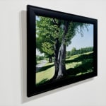 Painting of tree and field