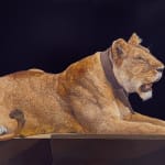 Painting of Recumbent Female Lion