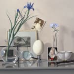 Still life with a table and an ostrich egg, photographs, and plants