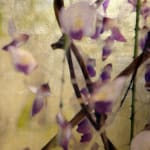 Diptych artwork of orchids
