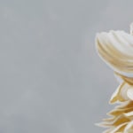 Painting of beige flower on gray background
