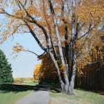 Painting of a tree with fall foliage