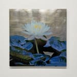 flower and water lilies