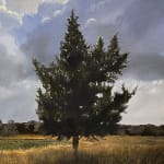 Oil painting of tree with large clouds on canvas