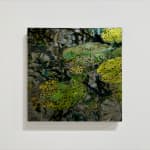 Mixed media artwork of waterlilies