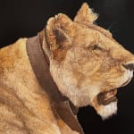 Painting of Recumbent Female Lion