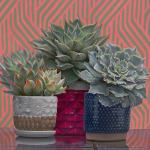 Painting of three succulents