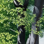 Painting of tree and field