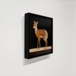 Painting of a small African antelope