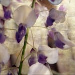 Diptych artwork of orchids