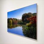 Painting of Central Park