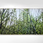 Oil painting of green wooded landscape on canvas