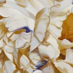 Painting of beige flower on gray background