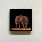 Oil painting of young African elephant isolated on panel