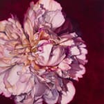 Painting of a peony