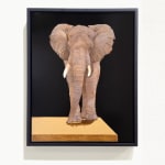 Painting of an elephant walking towards the viewer