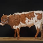 Painting of a Texas longhorn