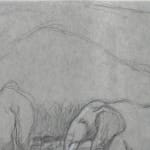 Scene of two elephants and a bird