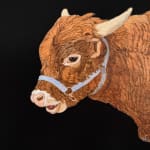Painting of a Texas longhorn