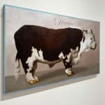 Still life of large cow