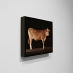 Oil painting of isolated brown cow on panel