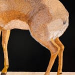 Painting of a small African antelope