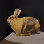 Painting of a harlequin rabbit