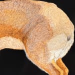 Painting of a small African antelope