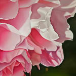 Steve Foster, Peach Melba , 2023