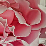 Steve Foster, Peach Melba , 2023