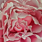 Steve Foster, Peach Melba , 2023