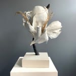 Jasmine Pradissitto, Rewilding, 2016