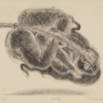 24.5 x 31.5 cm