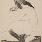 31.5 x 24.5 cm