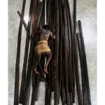 Madhu Das, The Act XXX