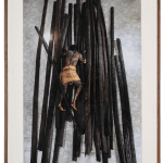 Madhu Das, The Act XXX