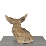 Ronceval, Small Lioness (Light Brown)