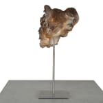 Ronceval, Small Lioness (Light Brown)