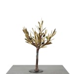 Aggelos & Filippos Panayiotidis Het Nieuwe Leven (Η νέα ζωή)