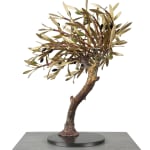 Aggelos & Filippos Panayiotidis, Olijfboom Met Trap (ελαιόδεντρο με σκάλες)