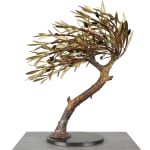 Aggelos & Filippos Panayiotidis, Olijfboom Met Trap (ελαιόδεντρο με σκάλες)