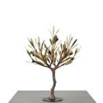 Aggelos & Filippos Panayiotidis Het Nieuwe Leven (Η νέα ζωή)