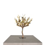 Aggelos & Filippos Panayiotidis, In De Wind (Στον άνεμο)