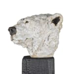 Ronceval, Small Lioness (Light Brown)