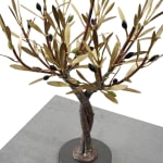 Aggelos & Filippos Panayiotidis, Olijfboom Met Trap (ελαιόδεντρο με σκάλες)