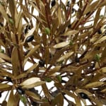 Aggelos & Filippos Panayiotidis 2 Become 1 (2 Γίνε 1) & stair