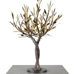 Aggelos & Filippos Panayiotidis, Olijfboom Met Trap (ελαιόδεντρο με σκάλες)