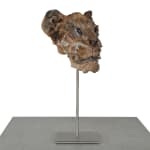 Ronceval, Small Lioness (Light Brown)